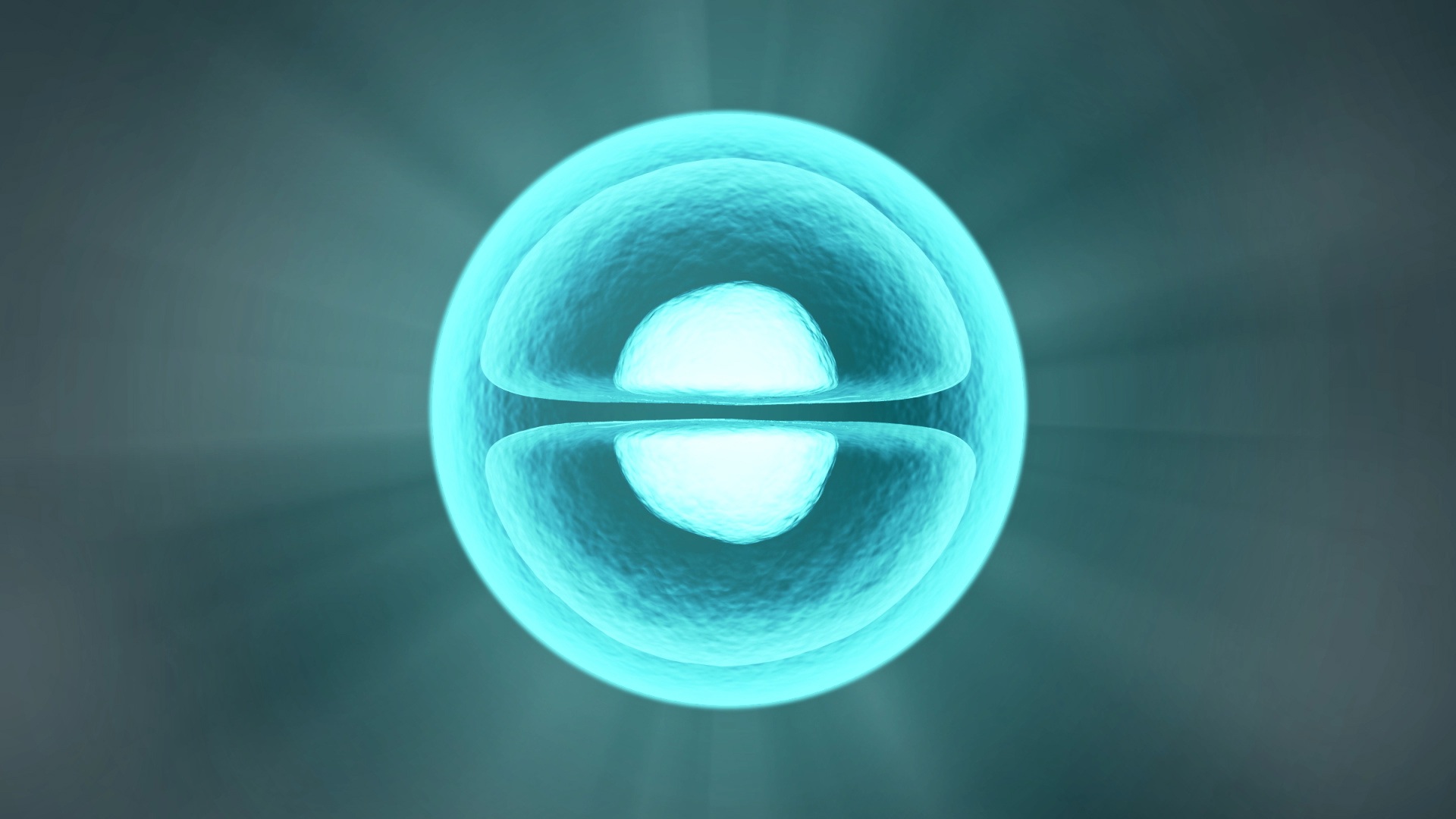 Área de Biología Área de Biología