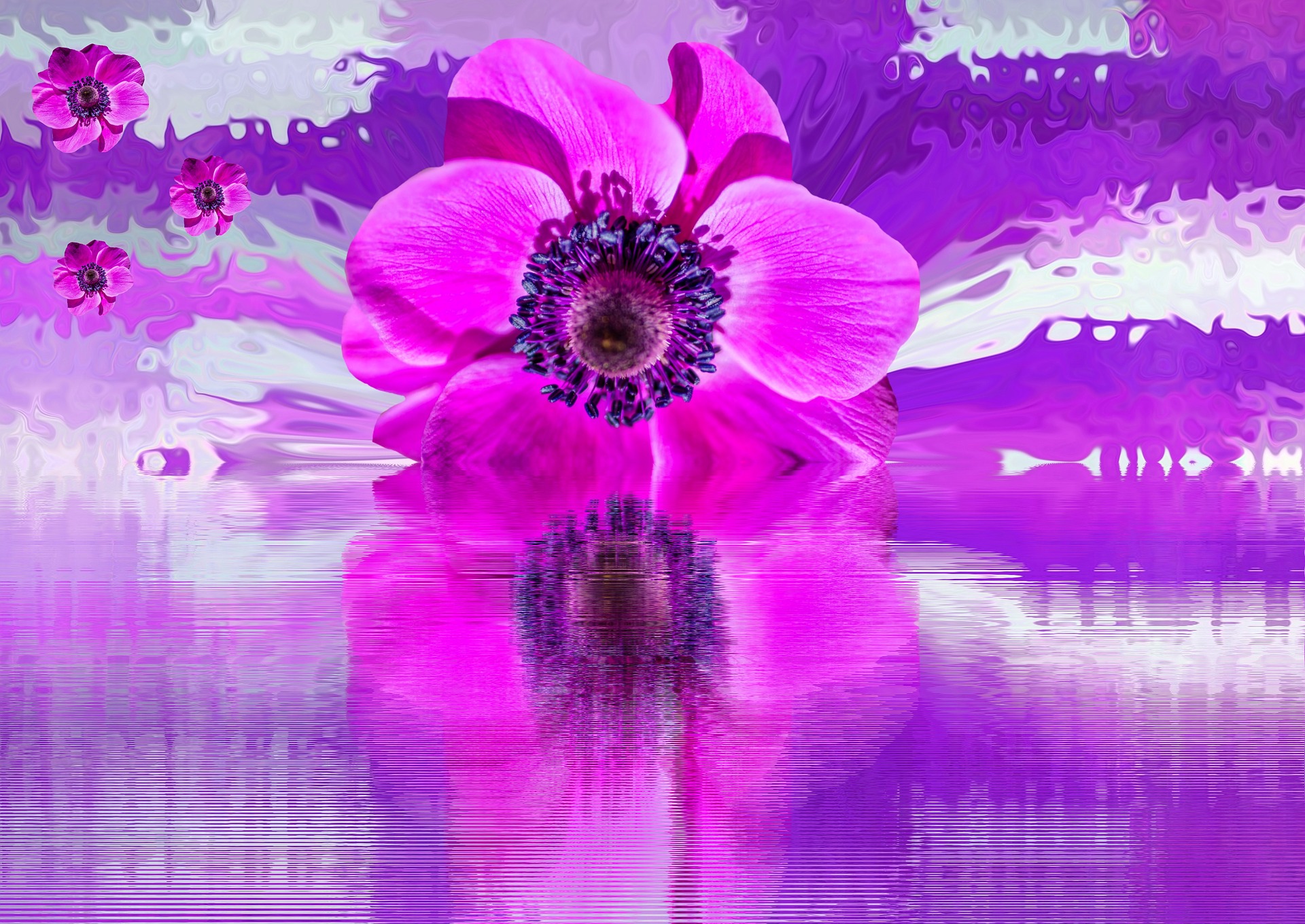 flor morada sobre agua