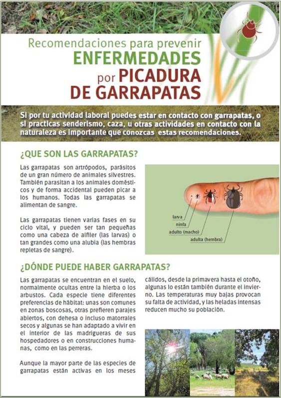 Portada de la publicación Recomendaciones para prevenir enfermedades por picadura de garrapata Portada de la publicación Recomendaciones para prevenir enfermedades por picadura de garrapata