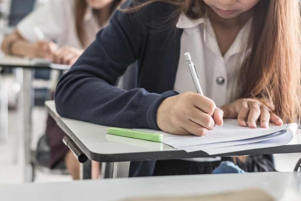 Escolar trabajando en el aula