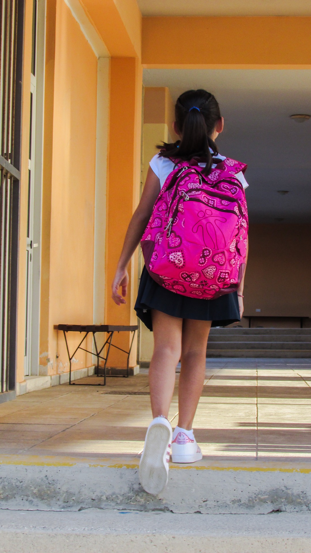 Enseñanzas de Educación Primaria Enseñanzas de Educación Primaria