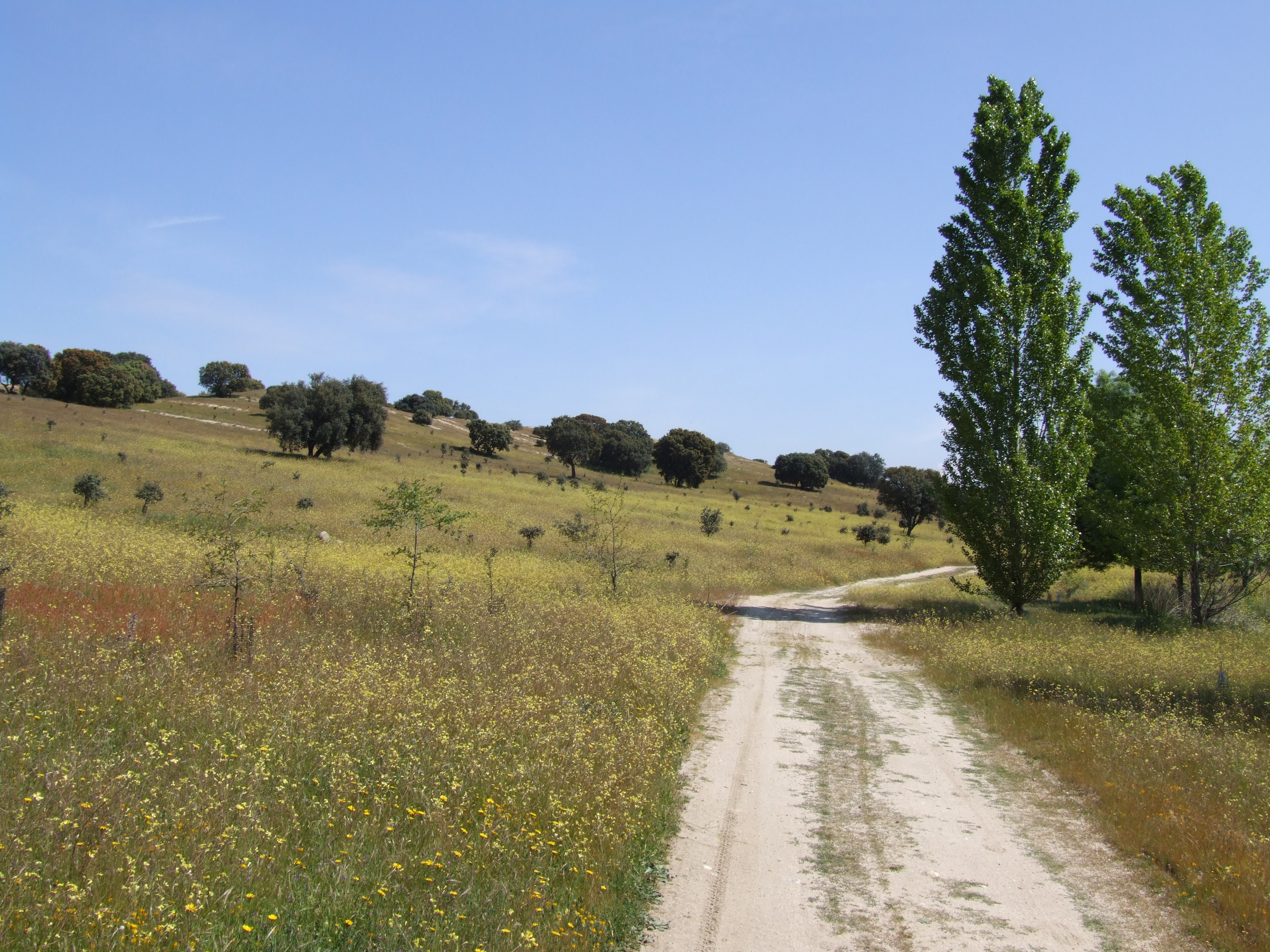Parque Regional del curso medio del río Guadarrama y su entorno Parque Regional del curso medio del río Guadarrama y su entorno