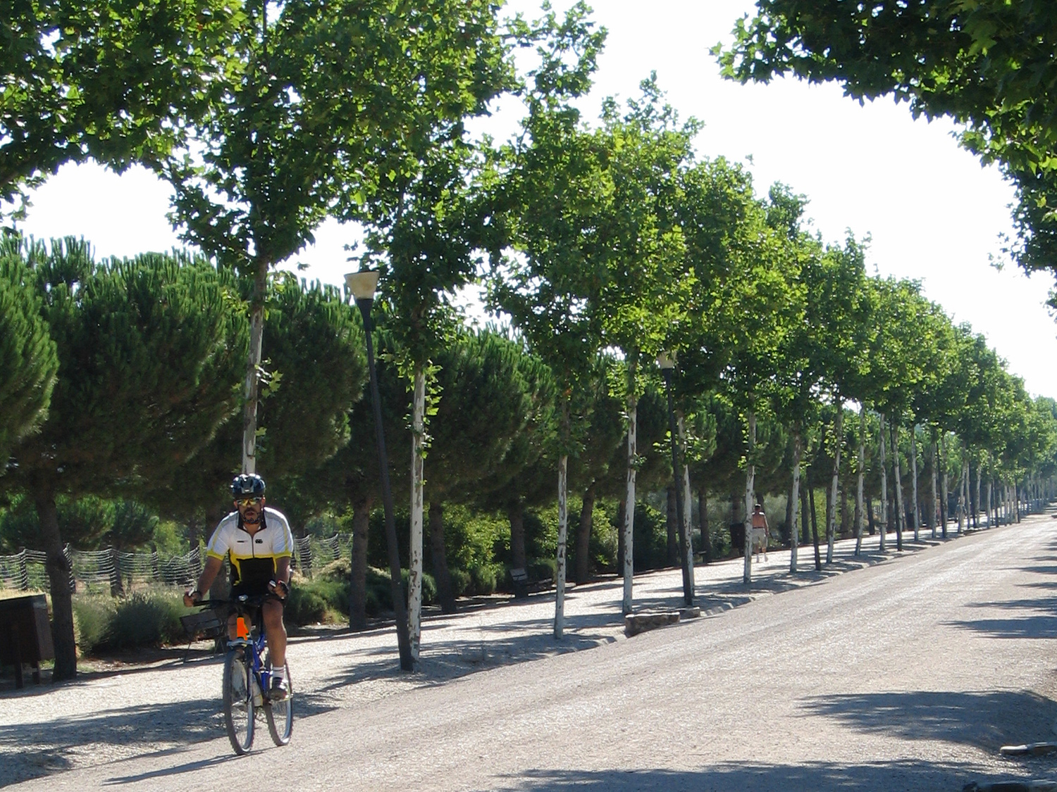 Rutas Verdes desde MetroSur Imagen de ciclista en un camino del sur de Madrid