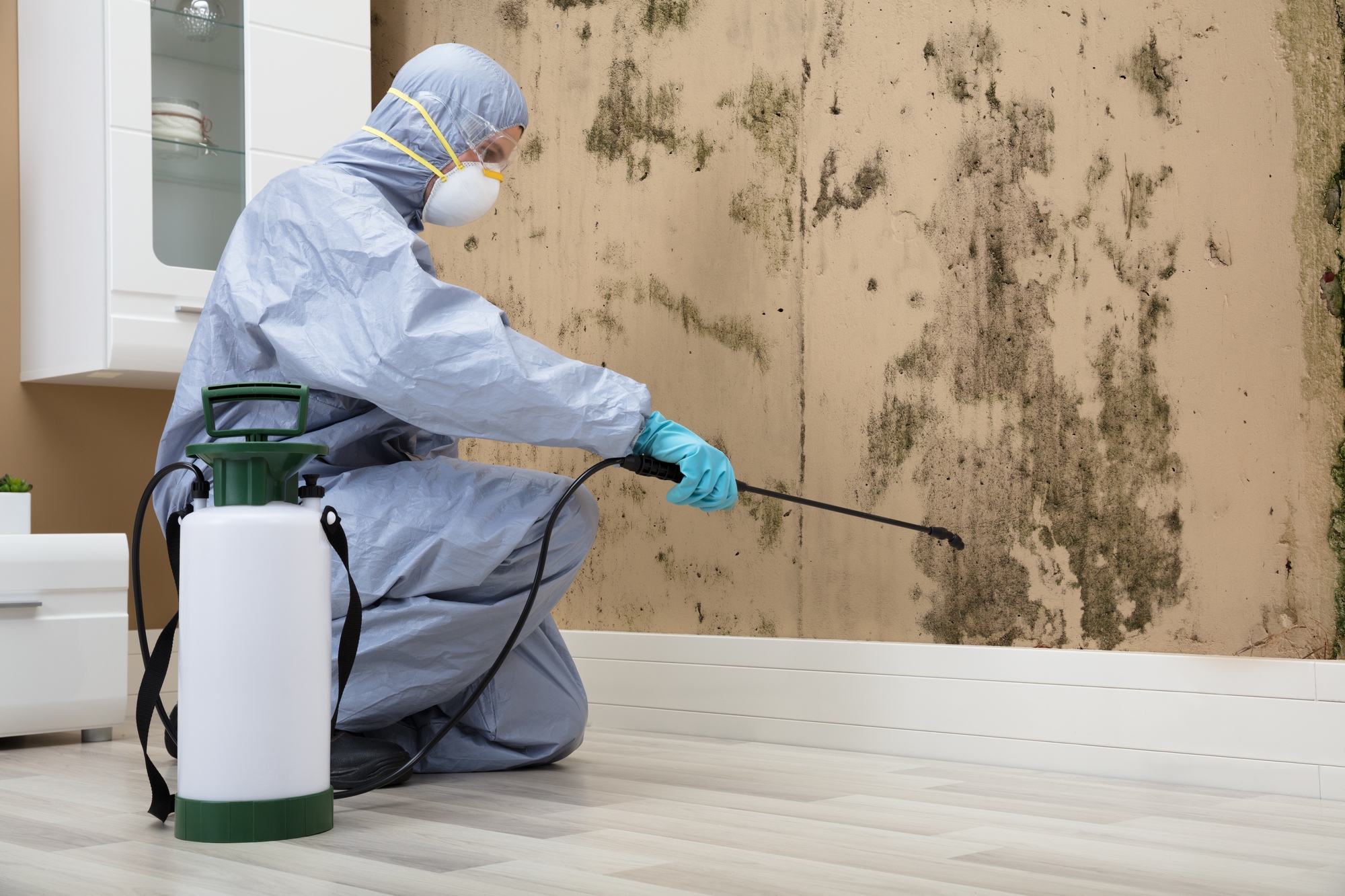Aplicador de biocidas pulverizando en el interior de una casa Aplicador de biocidas pulverizando en el interior de una casa