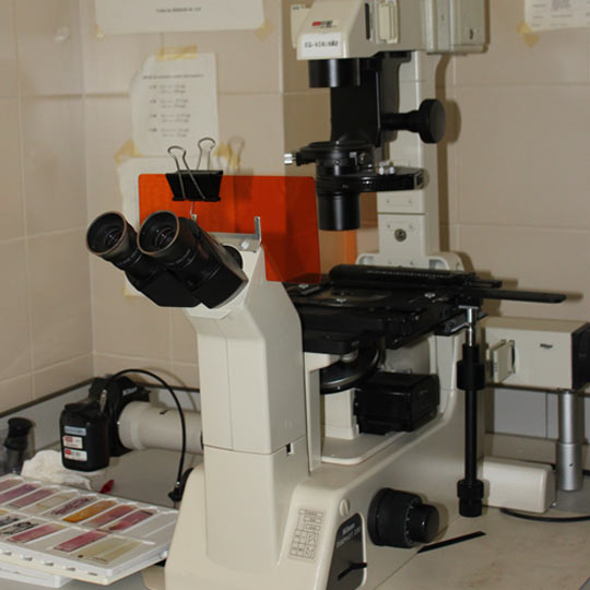 Unidad de Parasitología Unidad de Parasitología