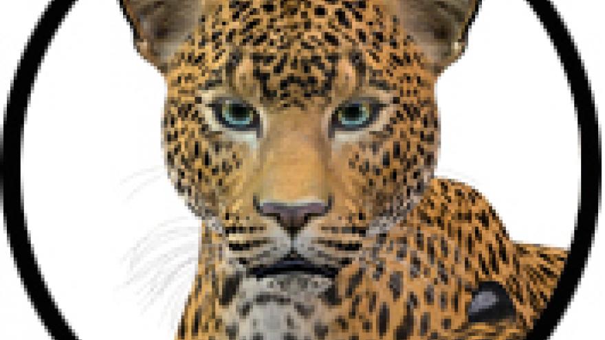 Convenio sobre el Comercio Internacional de Especies Amenazadas de Fauna y Flora Silvestre Convenio sobre el Comercio Internacional de Especies Amenazadas de Fauna y Flora Silvestre