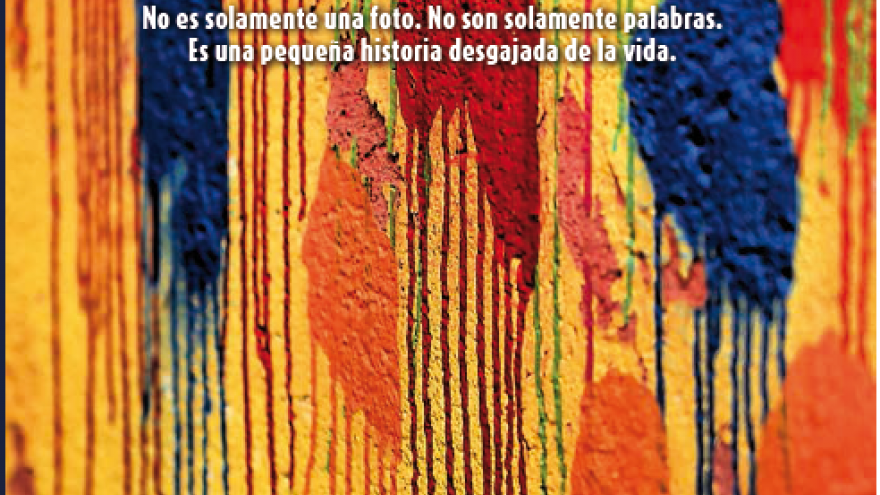 presentación libro
