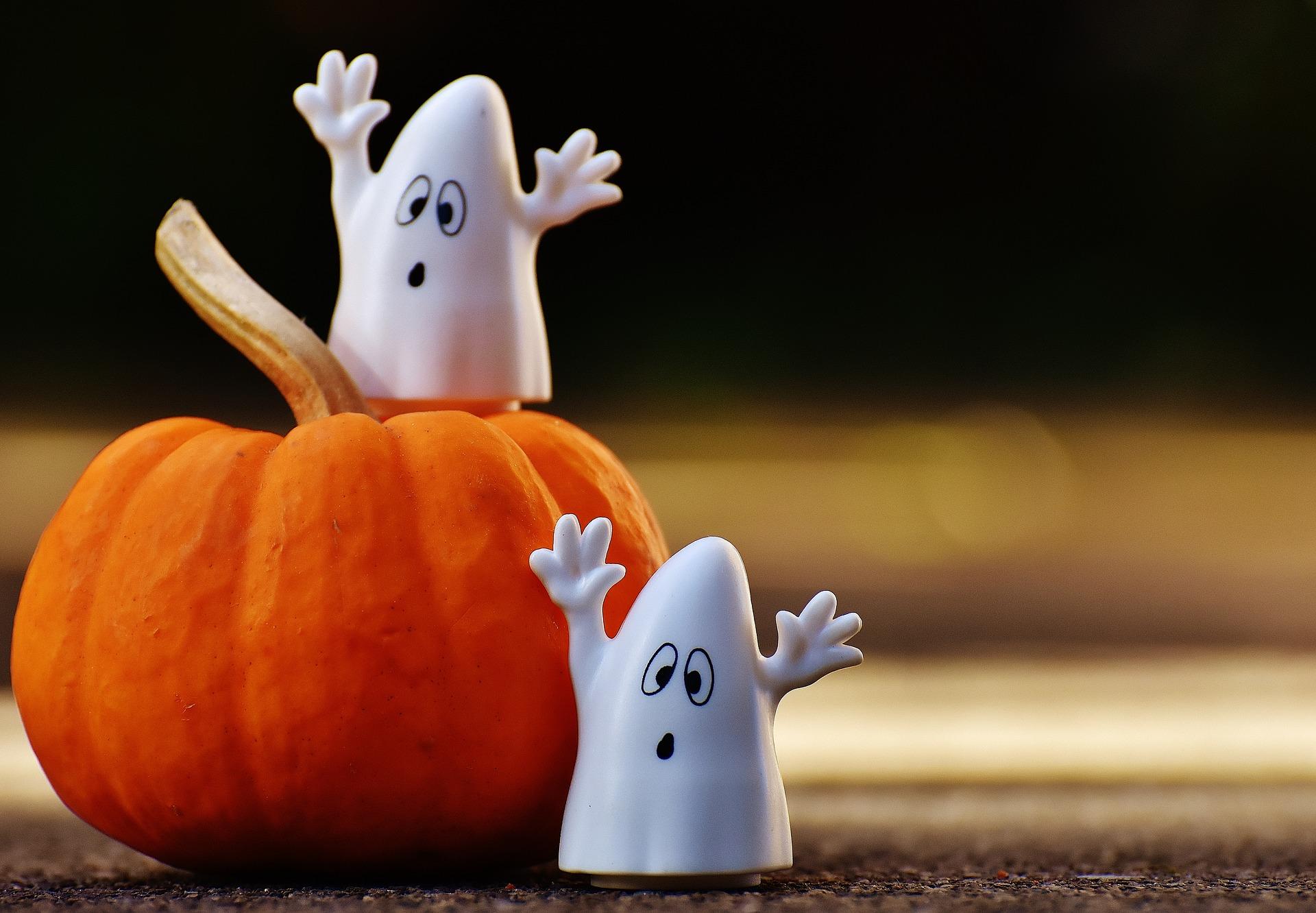Halloween Halloween