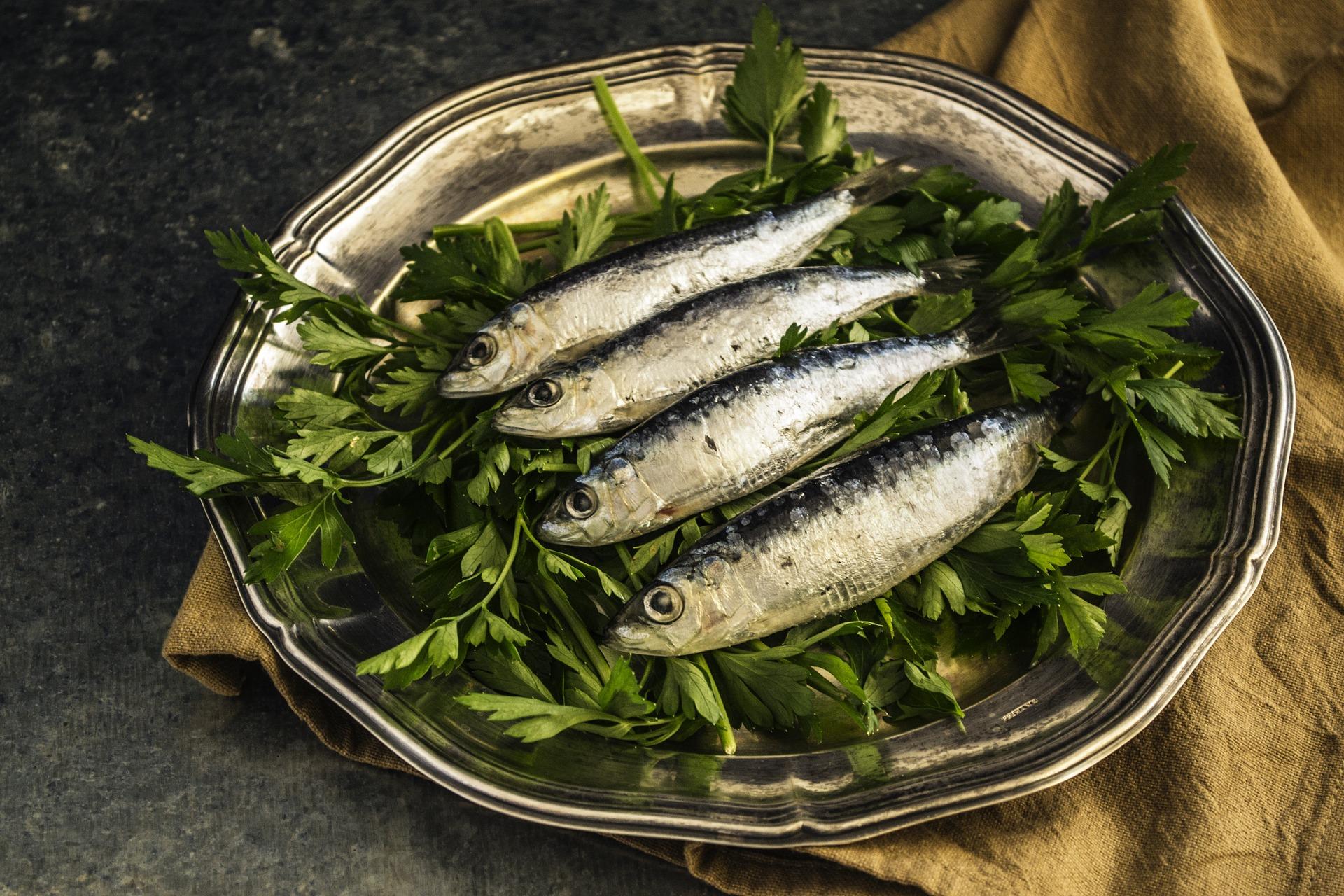 Intoxicaciones por histamina Sardinas en una bandeja