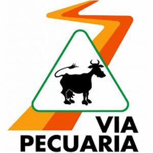 VIAS PECUARIAS VIAS PECUARIAS