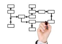 Estructura, organigrama Estructura, organigrama