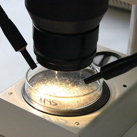 Unidad físico-química Unidad físico_química