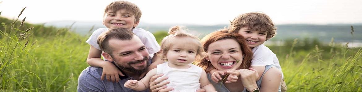 Estrategia de Apoyo a la Familia Estrategia de Apoyo a la Familia