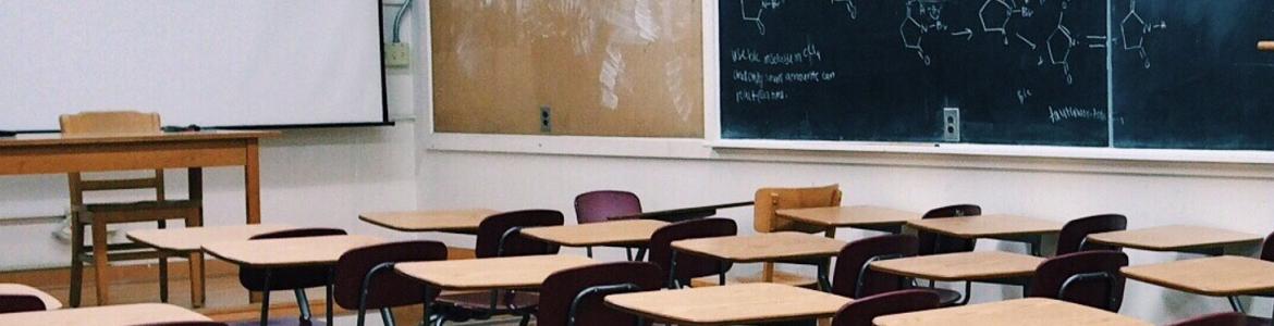 voluntariado educación