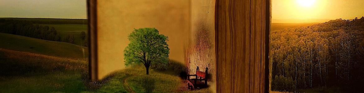 Publicaciones de salud ambiental Imagen de un libro abierto apoyado en un prado con un árbol y un banco