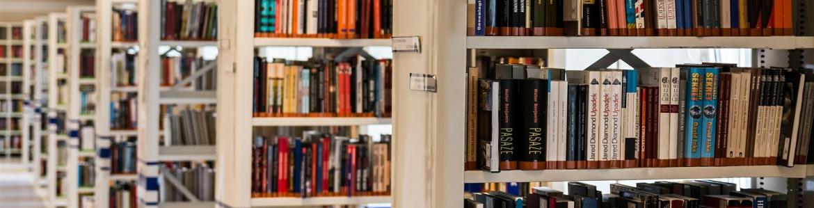 biblioteca biblioteca