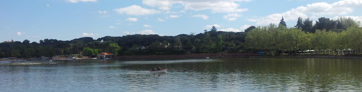 lago de la Casa de Campo lago de la Casa de Campo