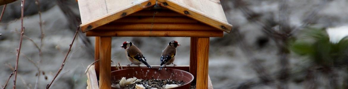 Casita comedero aves Casita comedero aves