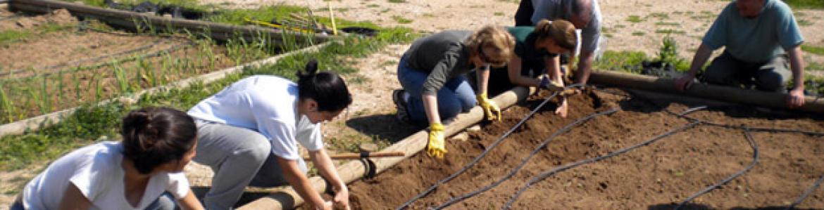 Huerto colectivo en el Centro de educación ambiental Caserío de Henares Huerto colectivo en el Centro de educación ambiental Caserío de Henares