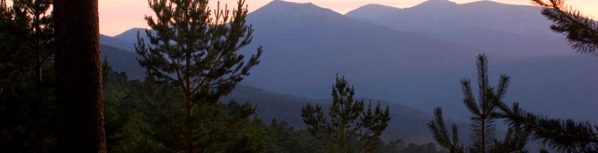 Sierra de Guadarrama Sierra de Guadarrama al atardecer