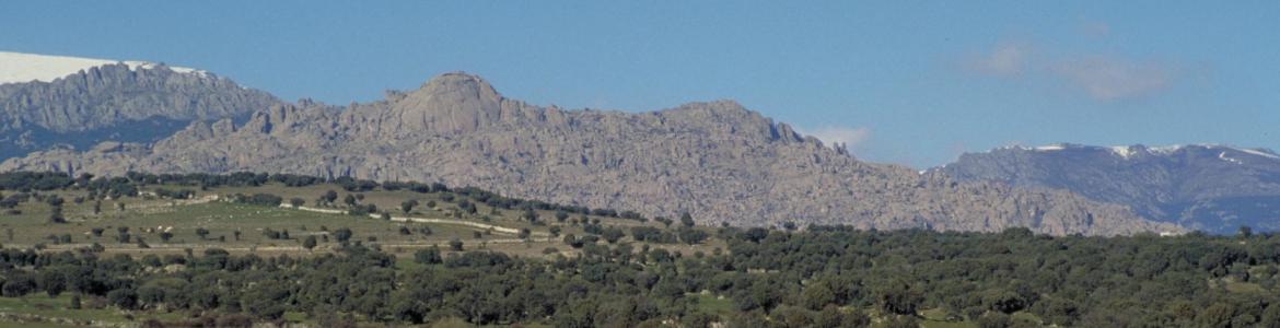 Dehesa y cumbres de La Pedriza al fondo Dehesa y cumbres de La Pedriza al fondo