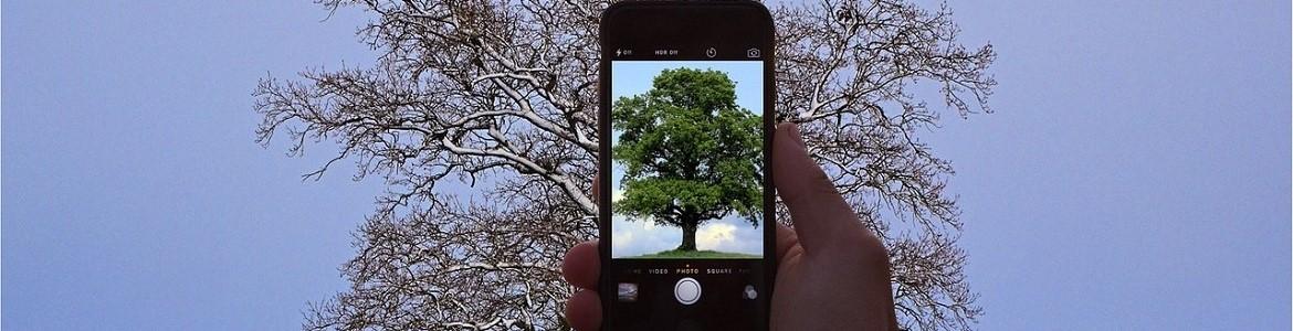 Móvil, árbol Móvil, árbol