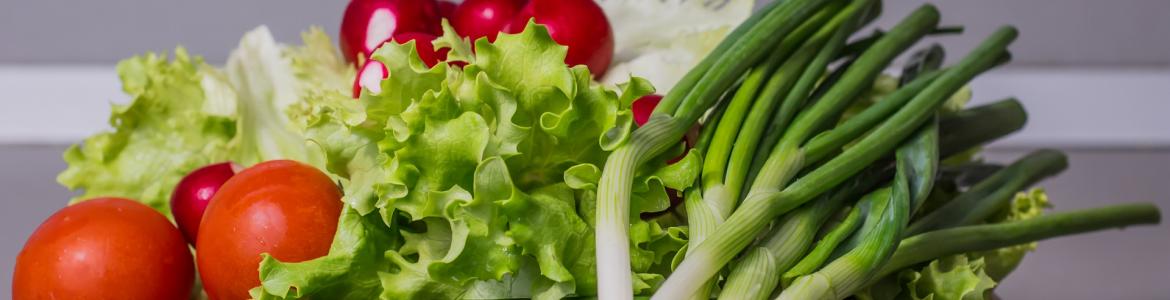 Verduras y hortalizas manos sosteniendo verduras