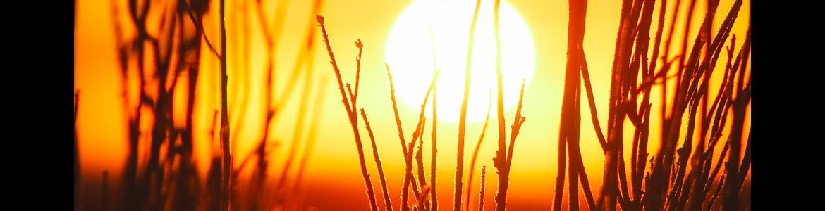 Medicamentos y calor sol