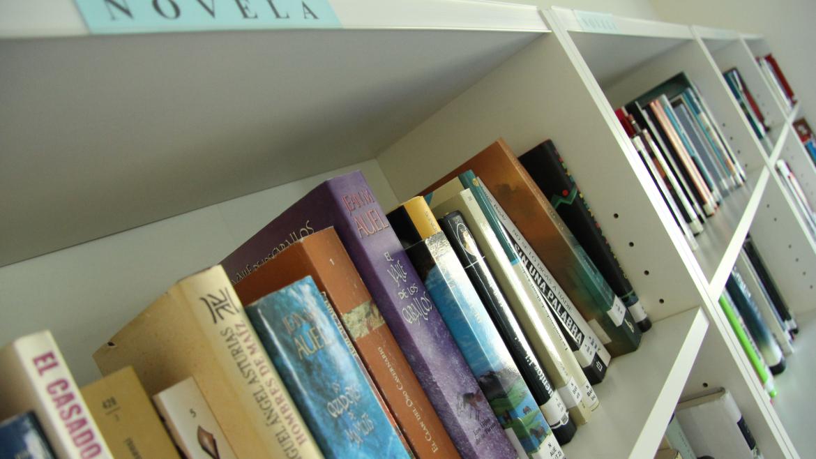 Biblioteca de pacientes del Hospital