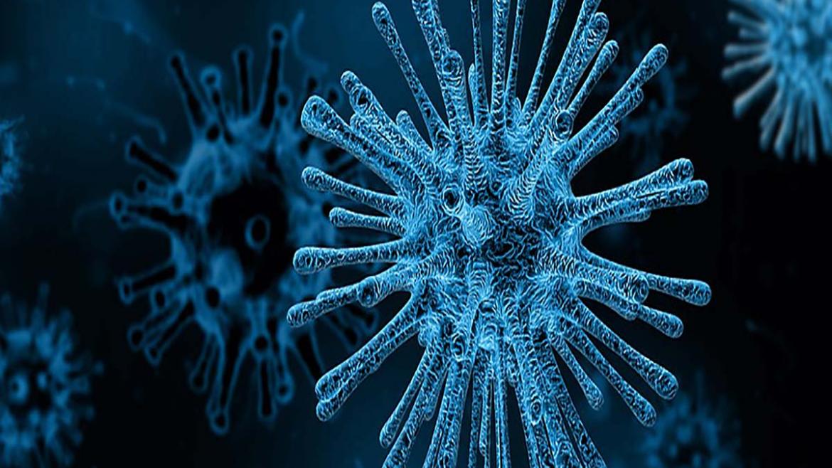 IMAGEN VIRUS IMAGEN VIRUS