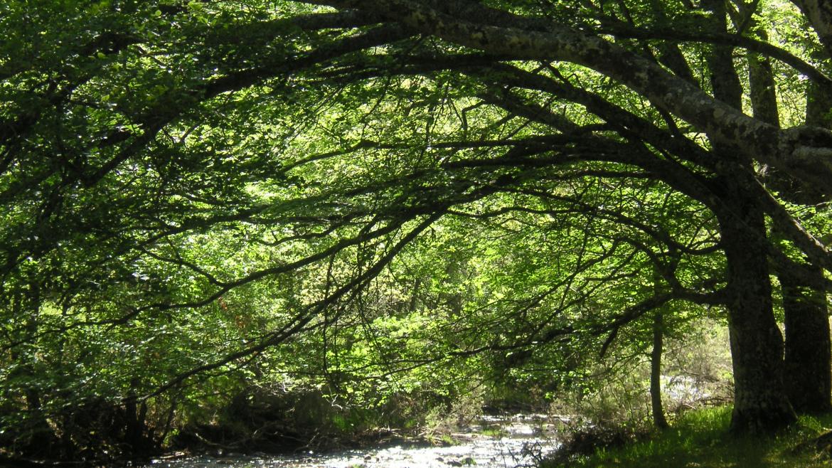 La Comunidad organiza numerosas actividades en septiembre en sus centros medioambientales La Comunidad organiza numerosas actividades en septiembre en sus centros medioambientales