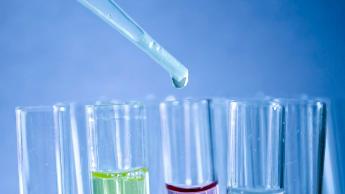 Investigación Investigación