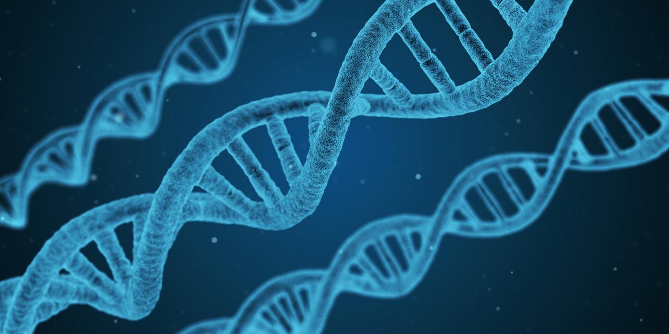 Área de Ingeniería Biomédica Área de Ingeniería Biomédica
