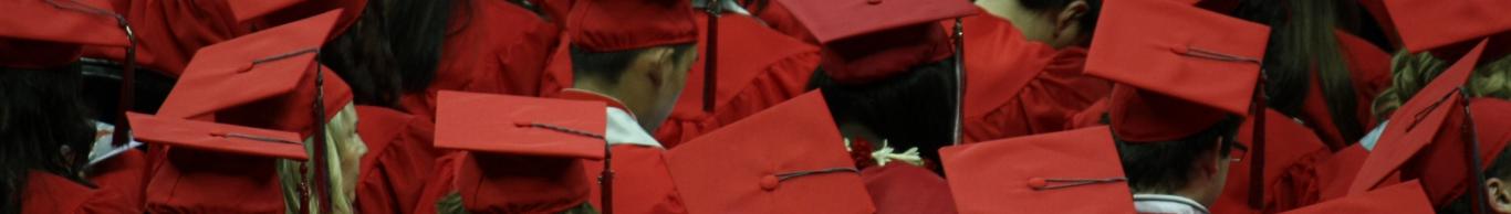 graduados graduados