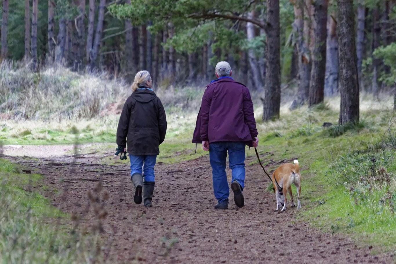 Paseo con perro sujeto con correa Paseo con perro sujeto con correa