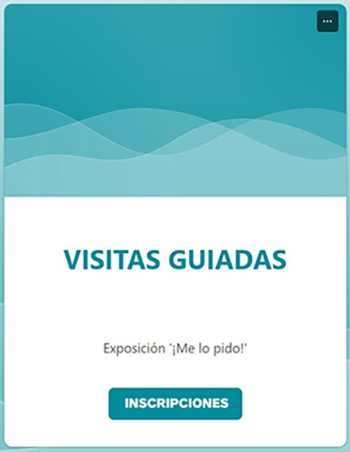 VISITAS GUIADAS ICONO INSCRIPCIONES 350