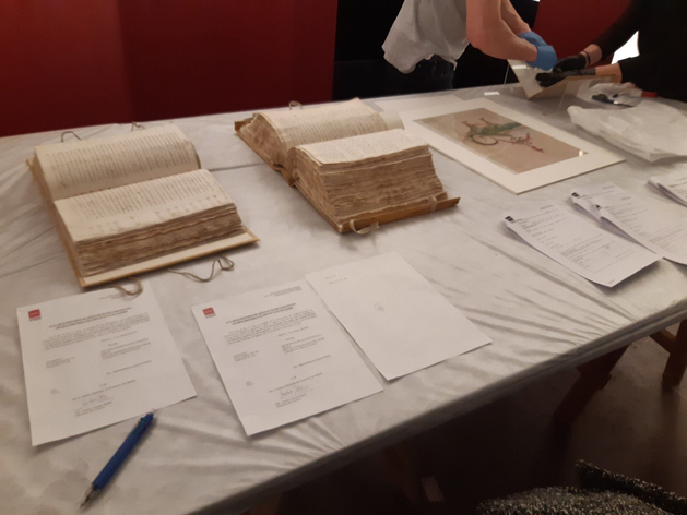 General protocolos montaje