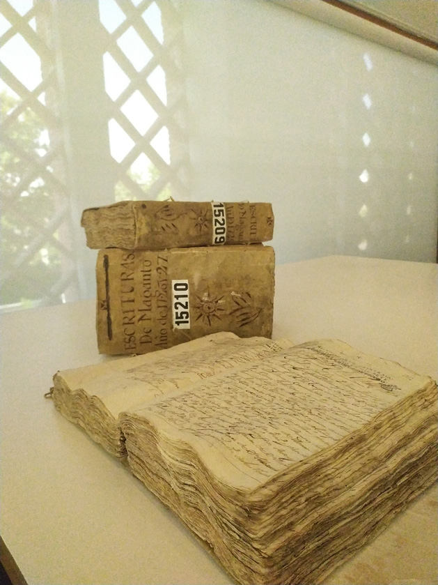 IMG 20190718 102600 1 629