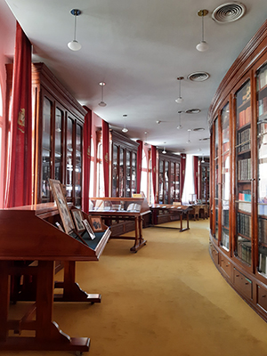 Biblioteca 3 300