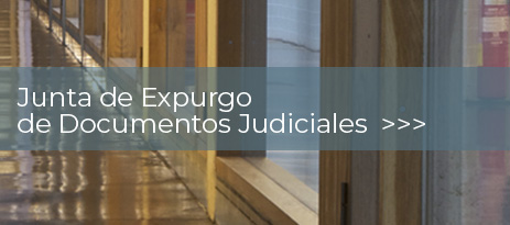 BANNER juntaexpurgojudiciales 2