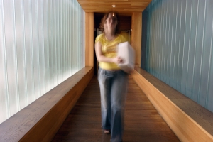 Publicada la creaci&oacute;n de los Servicios Delegados de Archivo