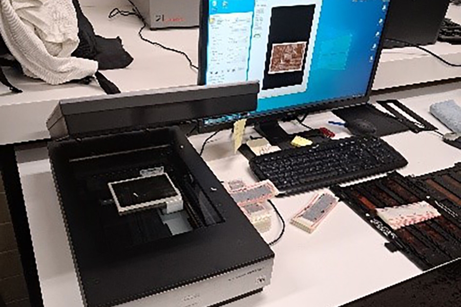 La Comunidad de Madrid publica los Protocolos de Digitalización aprobados en el último Consejo de Archivos