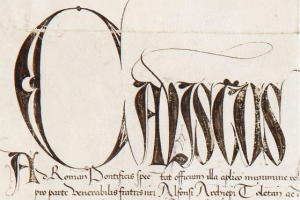 Calixto III eximi&oacute; a los habitantes de Torrelaguna de construir un castillo