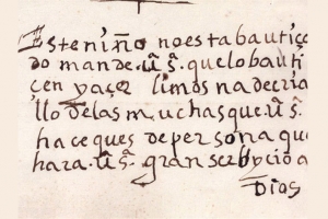 Documentos del Archivo Regional desvelan la evoluci&oacute;n de la lengua en Madrid