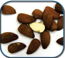 Icono de frutos de cáscara