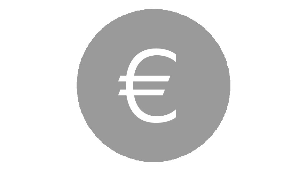 Símbolo del euro en gris