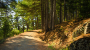 Pista del Monte Abantos