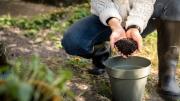 Manos echando compost a una maceta