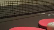 Pelota, palas y mesa de tenis de mesa