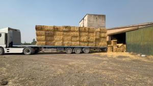 La Comunidad de Madrid reparte más de 130.000 kilos de comida y 60.000 litros de agua para los animales silvestres afectados por los incendios Forraje para animales salvajes
